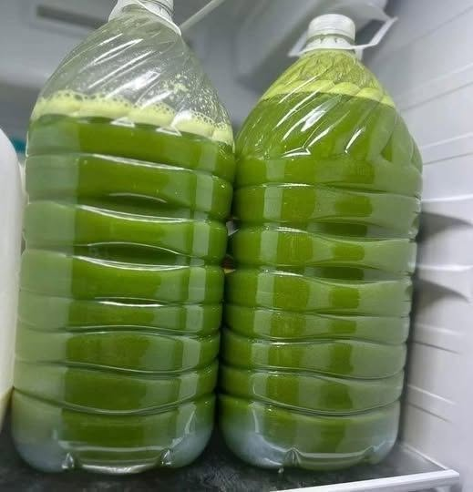 Homemade Fresh Green Juice Recipe